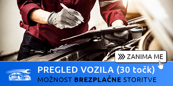 Pregled vozila - 30 kontrolnih točk Pregled vozila - 30 kontrolnih točk
