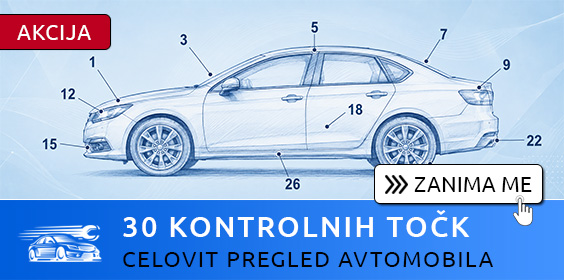 Pregled avtomobila: 30 kontrolnih točk
