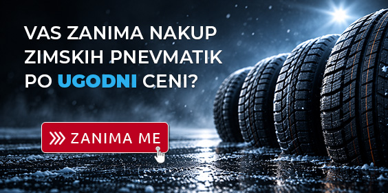 Nakup zimskih pnevmatik po ugodni ceni